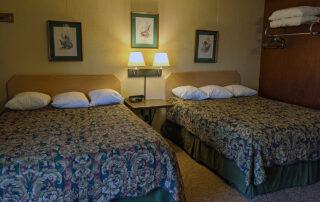 2 beds in standard suite