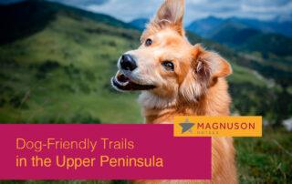 Dog-Friendly Trails in the Upper Peninsula